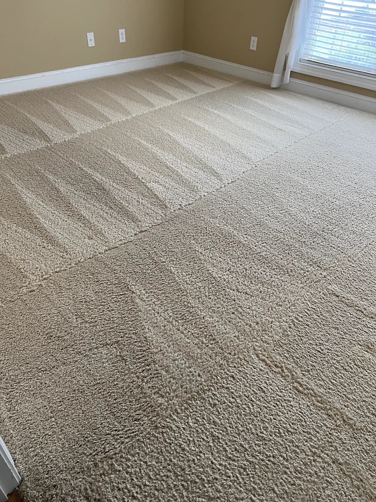 Deep Carpet Cleaning after