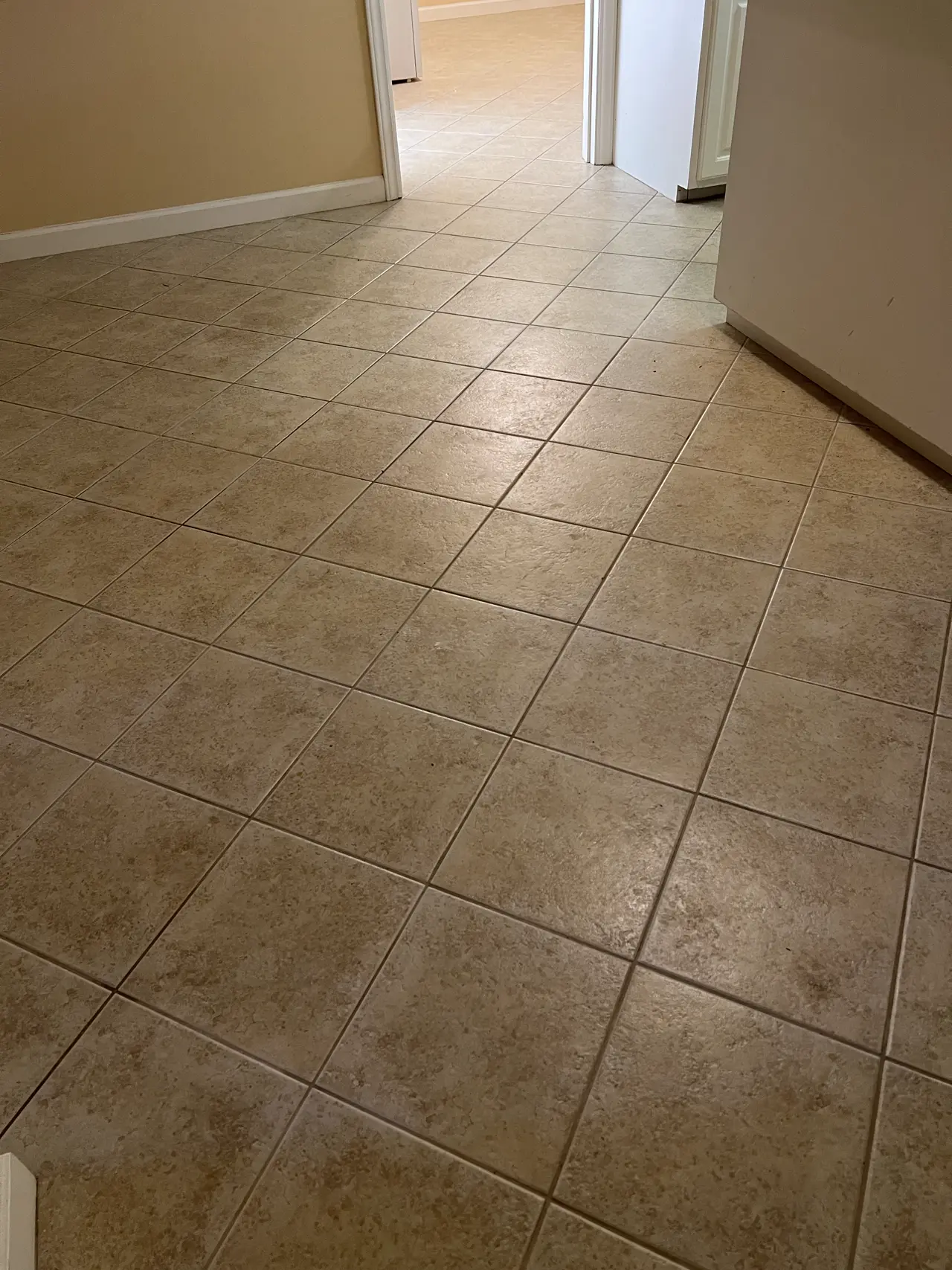 Tile & Grout Restoration before